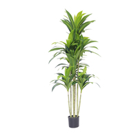 Planta Artificial de Cordyline Fruticosa en Maceta de Plástico, Plantas Artificiales para Exteriores, Decoración de Oficina, Jardín y Hogar