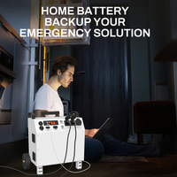 Offre Spéciale : Générateur Solaire 6000W avec Onduleur Bidirectionnel, Station d'Alimentation Portable (Type Valise) pour Usage Domestique d'Urgence