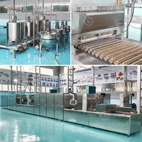 Gummy Bear Freely Vente Amidon végétal Vitamine Gelée Bonbons sucrés Ligne de production de machine De Bonbon en Chine