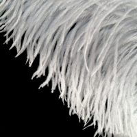 Plumes d'ailes d'autruche teintées, 16-32 pouces/40-80 cm, décorations et fournitures pour mariages, robes de cérémonie, événements, artisanat DIY