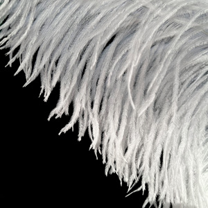 Piume di struzzo tinte, 16-32 <span class=keywords><strong>pollici</strong></span>/<span class=keywords><strong>40</strong></span>-80 <span class=keywords><strong>cm</strong></span>, decorazioni e forniture per matrimoni, abiti da cerimonia, eventi, fai da te - Product Image 2