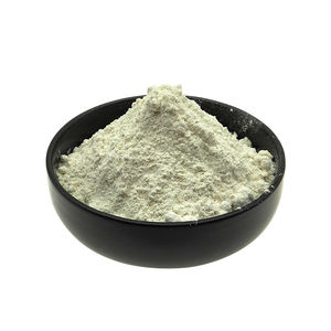 Venta al por mayor de fábrica: Extracto de pimienta negra en polvo con 95% de piperina - Product Image 1