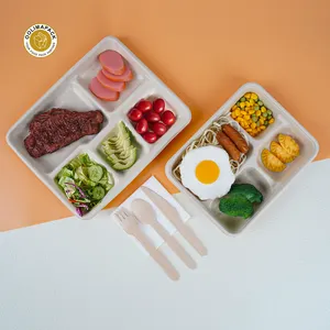 Oolima Pack Milieuvriendelijke Voedselbak 5 Compartimenten Bagasse Plaat Wit Papier Feestplaten