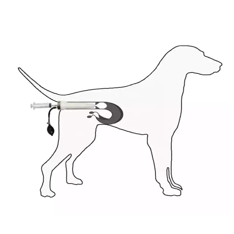 IN QA3 Veterinary Semen Analyzer with
