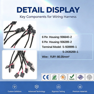 HK 连接线束 FLRY-B0.35mm 带外壳 936289-2 端子 5-928999-1 用于车辆顶棚中央控制模块 - Product Image 2