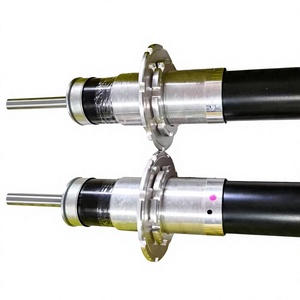 Amortiguador Eléctrico Delantero de Suspensión Neumática 255863 para Ferrari 458 488 430 F12 OE 255864 282502 - Product Image 4