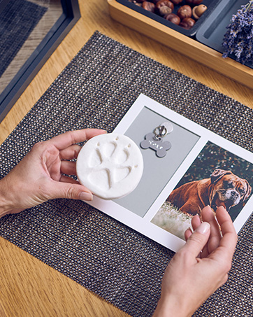 Wholesale Custom Modern MDF Pet Urn - Jinpengyuan Jinyuan135i Pet Cremation Coffin