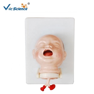 Modelo de Intubación de Recién Nacidos, Modelo de Enfermería Pediátrica, Modelo Médico de Enfermería Pediátrica - Product Image 6
