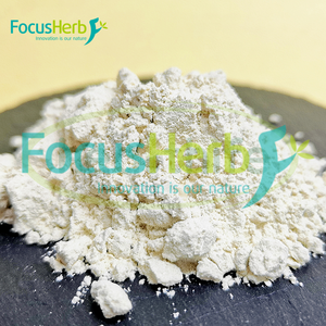 Focusherb ผงสกัดจากใบมะกอก10% 25% 98% 40% ไฮดรอกซีไทโรซอล - Product Image 4