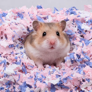 ที่นอนสัตว์เลี้ยงขนาดเล็กที่นุ่มสบาย ซึมซับน้ำได้ดีเยี่ยม ทำจากกระดาษฝ้ายสีรุ้ง สำหรับหนูแฮมสเตอร์ กระต่าย และหนูตะเภา - Product Image 1