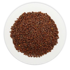 Graines de raphan sativus séchées sans soufre OEM, matière première végétale pour thé bien-être, extrait et usine alimentaire - Product Image 2