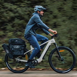 <span class=keywords><strong>Fiido</strong></span> Nomads Touring <span class=keywords><strong>E</strong></span>-<span class=keywords><strong>Bike</strong></span> avec moteur 250W 36V 11.6AH batterie 29 pouces roues capteur de couple frein à disque hydraulique Ebike - Product Image 1