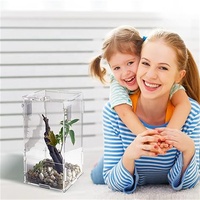 Installer Simple Clear Watch Acrylique Mini Reptile Habitat Serrure de porte pour Lupus Corps étranger Cafard Invertébré