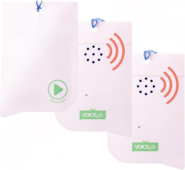 Audio Recorders for Gifts All Occasion Voice Recorders Audio Recordable Greeting Card