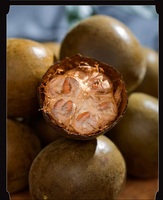 Guangxi Natuurthee Grote Maat Monniksvrucht Chinees Kruid Luo Han Guo 100% Natuurlijk Zoet Fruit Gedroogd Ongebroken Geschenkverpakking Zakverpakking