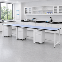 Mesa de Laboratorio con Fregadero, Salida de Gas y Lavaojos, Muebles Modulares de Acero, Tamaño Personalizado para Laboratorio de Química Escolar