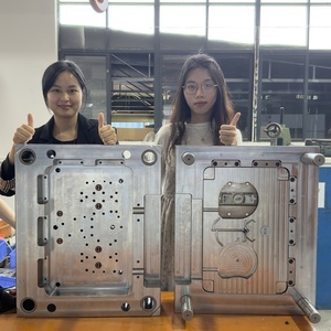 定制注塑模具，精密模具设计，塑料模具注塑制造商。 - Product Image 1
