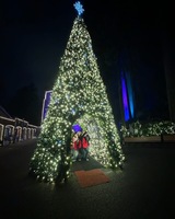 Arco de árbol de Navidad gigante con luces LED, túnel grande para exteriores, árbol de Navidad comercial preiluminado para centros comerciales, plazas y festividades.