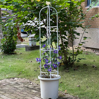 Treillis rond en plastique pour plantes avec pot de fleurs, facile à assembler pour les plantes grimpantes