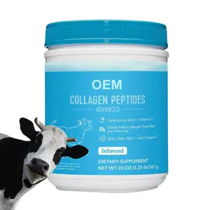 Suplemento en polvo de péptidos de colágeno OEM para piel, cabello, uñas, articulaciones, ácido hialurónico y péptidos de colágeno de vitamina C