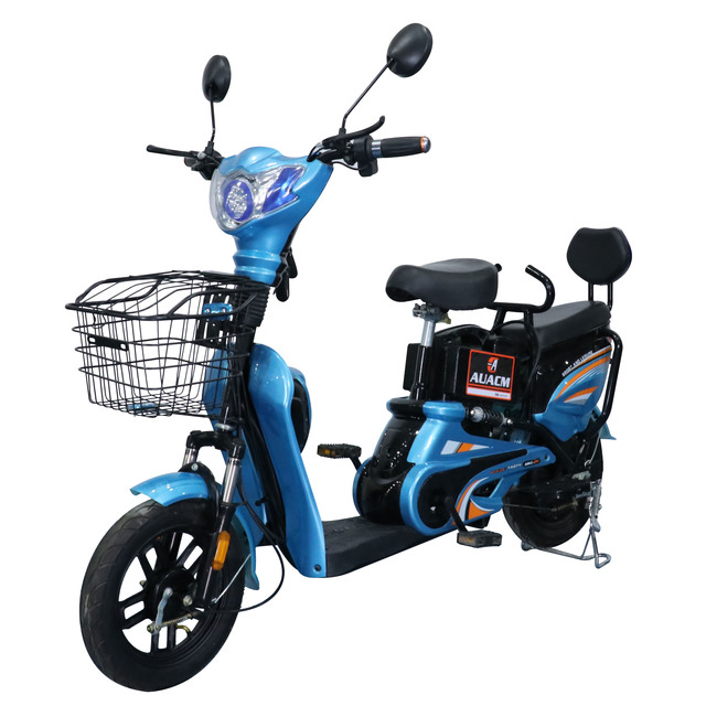 Hot Selling Powerful Electrical Bicycles From China Electrical Motor Bike Fat Tire High Speed Electric Bike