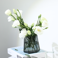 Vase en verre de conception nordique moderne décoration de table de luxe simple pour la maison matériau borosilicate hydroponique vente en gros Bar Mitzvah