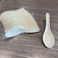 Cuillère à Bagasse asiatique 100%, vaisselle biodégradable, cuillère de service de soupe chinoise jetable pour restaurant