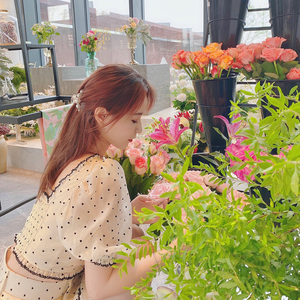 Accessori per capelli stile coreano più perle eleganti clip per capelli da donna con artiglio piccolo stile perla di alta qualità - Product Image 3