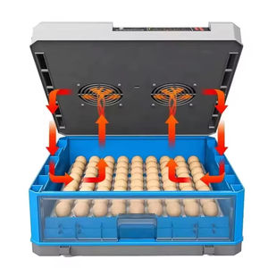 ציוד חקלאי לעופות שליו ביצים אוטומטיות מלאות אינקובטורים ביצת ציפור כחולה למכירה - Product Image 6