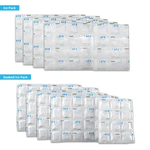 Eco-friendly Reusable Ice Pack For Shipping Food Delivery Gel Cold Cooling BagPopular