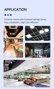 Điện áp không đổi <span class=keywords><strong>COB</strong></span> <span class=keywords><strong>LED</strong></span> với IC 24V <span class=keywords><strong>48V</strong></span> 1313 <span class=keywords><strong>Chip</strong></span> <span class=keywords><strong>LED</strong></span> <span class=keywords><strong>COB</strong></span> 3000K 4000K 5000K 6000k cho ánh sáng tại chỗ - Product Image 6