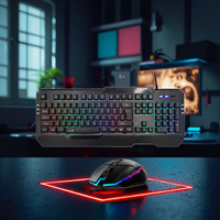 Clavier et souris de jeu rétroéclairés RVB, combo 104 touches, clavier ergonomique résistant aux déversements avec souris optique 1600 DPI, OEM
