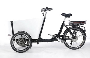 Tricycle électrique de fret populaire en Australie avec <span class=keywords><strong>porte</strong></span> pour <span class=keywords><strong>chien</strong></span>, cadre en aluminium, apprécié des clients australiens - Product Image 2