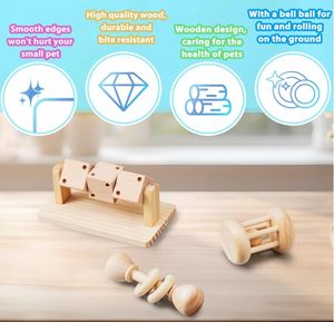 Tavşanlar, Gine Domuzları ve Hamsterler için Komik Kauçuk ve Masif Ahşap Diş Kaşıma Oyuncağı - Modern Tarzda Karton Paketli - Product Image 4