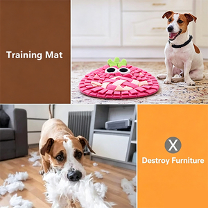 Tapis de renifflement pour animaux de compagnie (chiens et chats) à motif fruits, gamelle interactive de distribution lente pour la réduction du stress et la stimulation sensorielle - Product Image 5