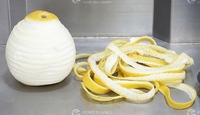 Automatische watermeloen, papaja, mango, taro schilmachine, fruit- en groenteschilmachine