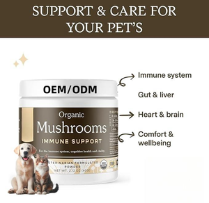 Polvo de caldo de hueso personalizado al por mayor para perros-Alta proteína Ecológico Inmunidad Cognición Salud celular Longevidad - Product Image 5