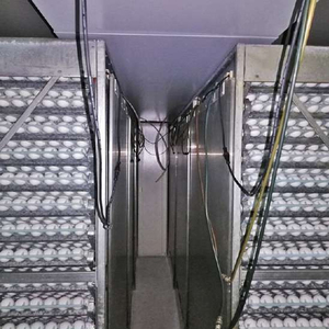 Incubadora de túnel comercial multietapa automática con sistema de carro de huevos, equipo industrial para criaderos de aves de corral - Product Image 5