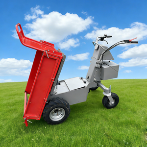 <span class=keywords><strong>Meilleur</strong></span> prix pour mini-dumper électrique chinois à chenilles de 500 kg, importateur de camions électriques à vendre - Product Image 1