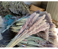 Buket Bunga Kering Rumput Ekor Kelinci Buluh Kecil Grosir Bahan Dekoratif Rumput Pampas Putih dan Coklat