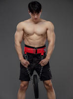 Cinturón de levantamiento de pesas ajustable con cadena de acero y acolchado de EVA, cierre de gancho y bucle, unisex, para entrenamiento de fuerza en gimnasio, completo.