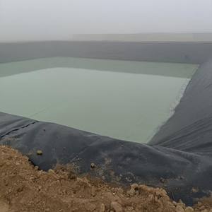 공장 가격 HDPE Geomembrane 1mm 2mm 연못 댐 라이너 바이오 다이제스터 매립지 Geomembranas PVC/EVA 재료 물고기 농장 - Product Image 5