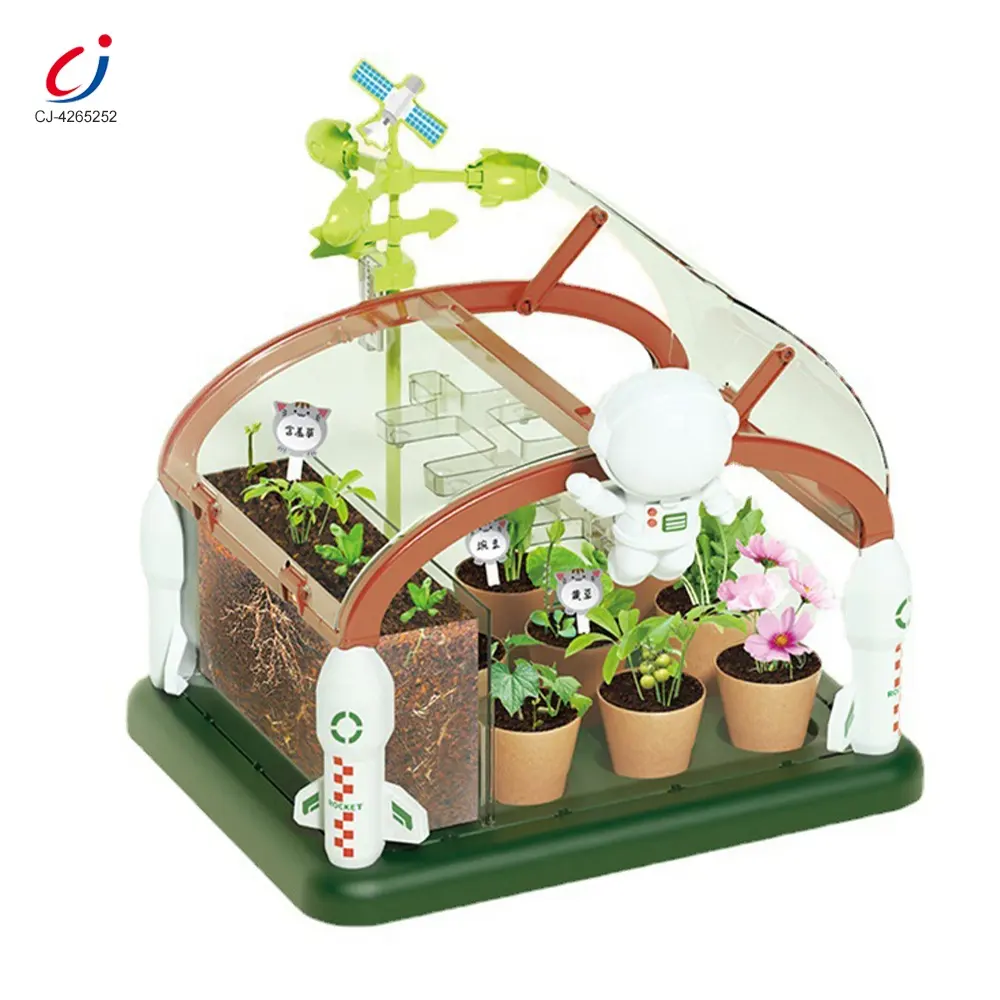 Chengji per bambini che piantano kit da gioco set di strumenti educativi fai da te pianta che cresce la stanza del sole scienza esperimento di serra