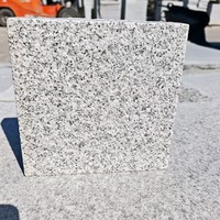 Carreaux de granit blanc sésame, surface sablée moderne, durables, découpés sur mesure, solutions de design graphique, garantie 5 ans – Approvisionnement direct usine