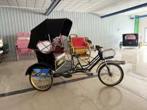 City Sightseeing Tricycle électrique de <span class=keywords><strong>transport</strong></span> de passagers assisté pousse-pousse électrique 3 roues Taxis pousse-pousse Pedicab Fabricant - Product Image 3