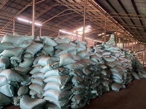 GRANULES DE COQUE DE NOIX DE CAJOU du VIETNAM pour L'EXTRACTION DE TANNIN DÉCHETS AGRICOLES - Product Image 6