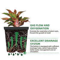 Pots de pépinière carrés YouMuHe en PP pour myrtilles, jardinières d'extérieur avec trou de drainage, légers et durables, 25,9 L, style ferme
