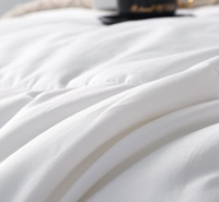 Couette d'hôtel de style simple imprimé blanc pur avec tissu brossé anti-boulochage et respirant pour l'automne