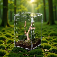 Terrarium rectangulaire en acrylique ZF Reptile avec haute transparence et ventilation - Enclos d'élevage pour araignées, mantes, geckos, serpents de maïs