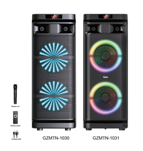 Altoparlanti DJ da Esterno Doppi da 10 Pollici con Telecomando, Uscita 20W*2, Microfono, AUX, TWS, Luci LED RGB per Karaoke e Uso Familiare KTV - Product Image 1
